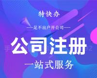 什么是内资公司？