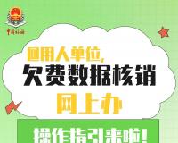 @用人单位，欠费数据核销网上办操作指引来啦！